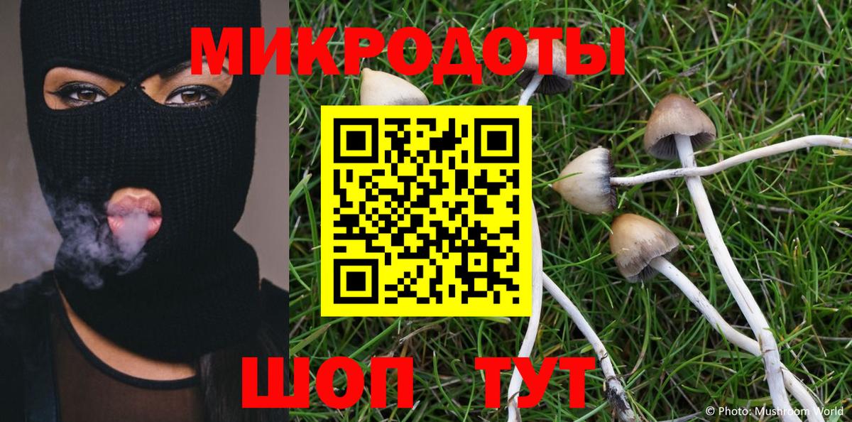 Псилоцибиновые грибы Psilocybe  Вход с VPN  Россия 